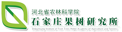 公司